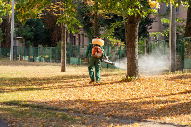Professional Pest Control in Wesley Chapel, NC